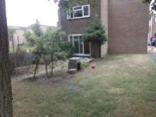 A garden, repopulated and trimmed back, with BBQ made from found concrete slabs